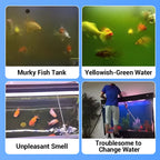 ✨️HOT SALE 49% OFF✨️Powerful Aquarium Water Purification Tablet🌿