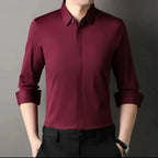 🔥2025 HOT SALE🔥Men's Wrinkle-Free Button-Down Shirt
