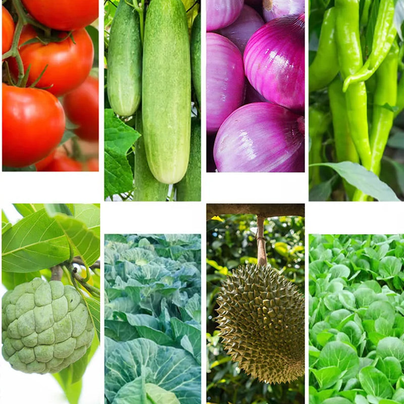 Organic Fertilizers for Vegetables