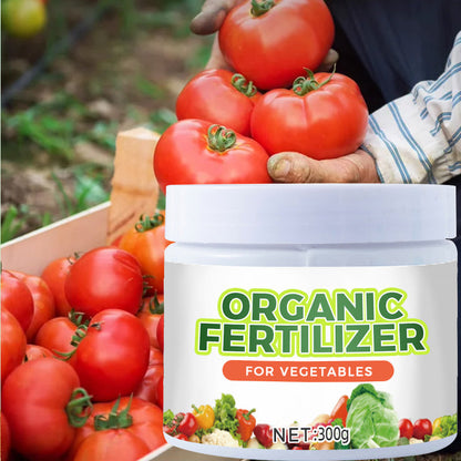 Organic Fertilizers for Vegetables