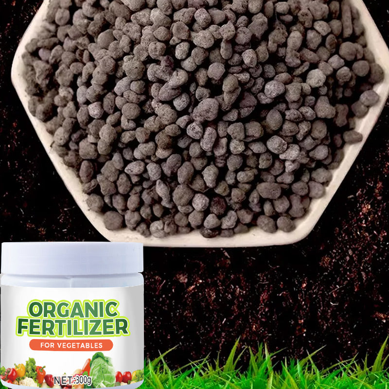 Organic Fertilizers for Vegetables