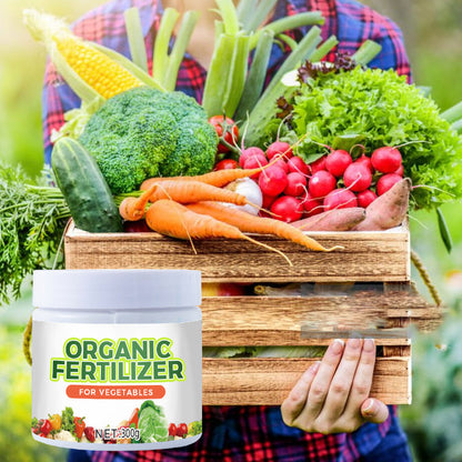 Organic Fertilizers for Vegetables