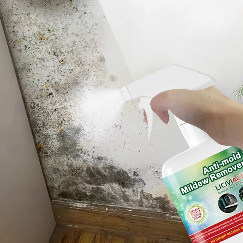 Anti-mold Mildew Remover