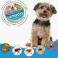 Collier lavable et ajustable pour prévenir les puces et les tiques chez les animaux domestique